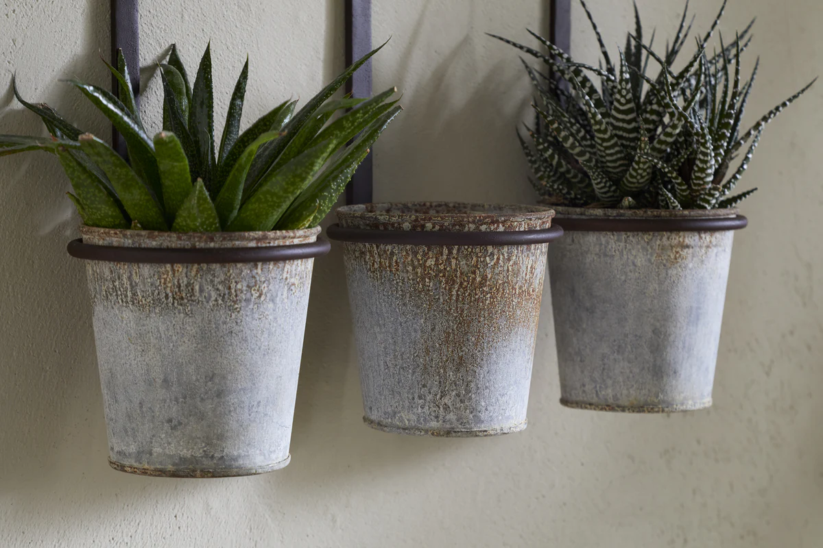 Tukana Triple Wall Hung Planter - Zinc - Image 4